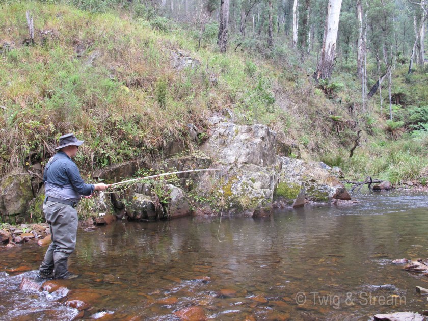 A man fly-fishing for trout in the bush in Victoria Australia. using a fibreglass rod.