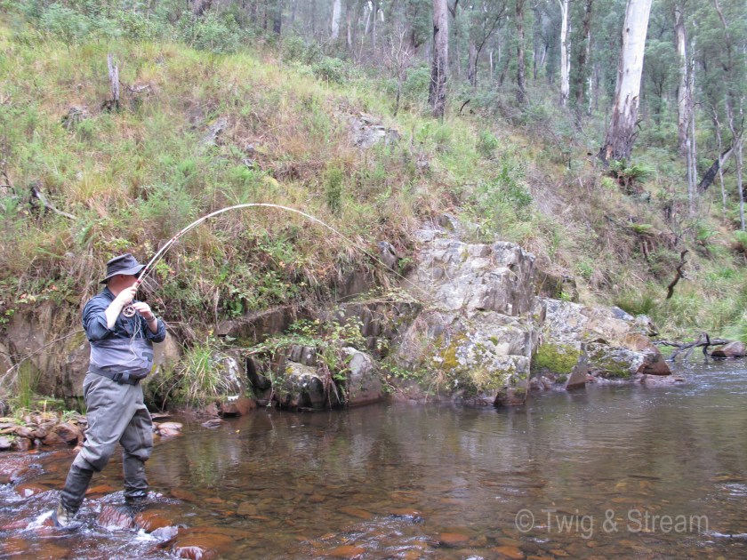 A man hooked up on a trout while fly fishing in the bush.