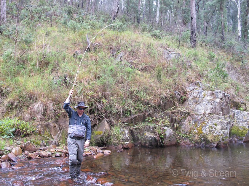 Man fly fishing for trout in the Ovens Valley Victoria Australia, using a fibre glass rod.
