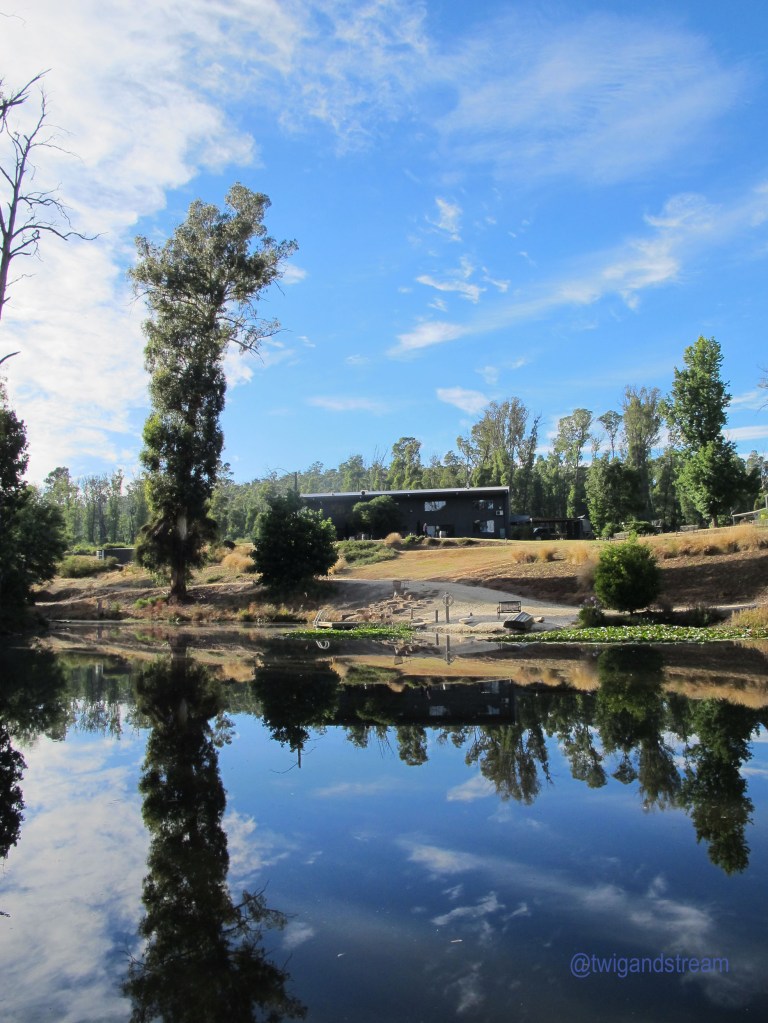 Saladin Lodge, reflections on the Lake