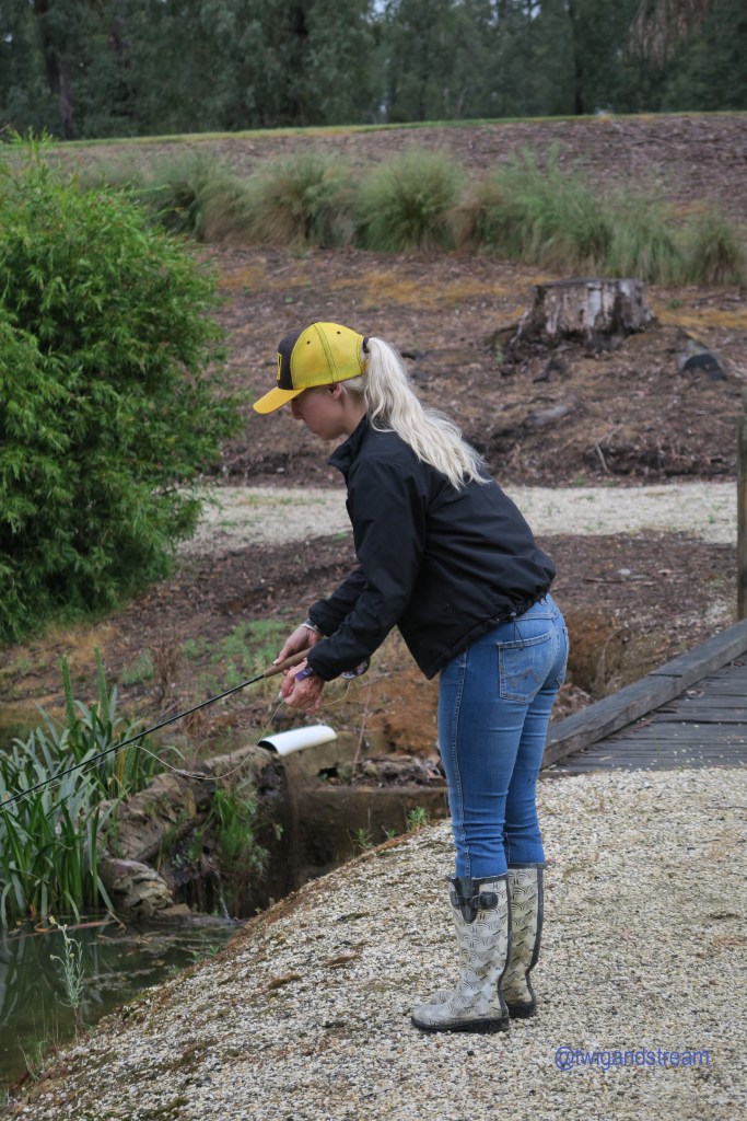 Woman fly fishing and ocnentrating.