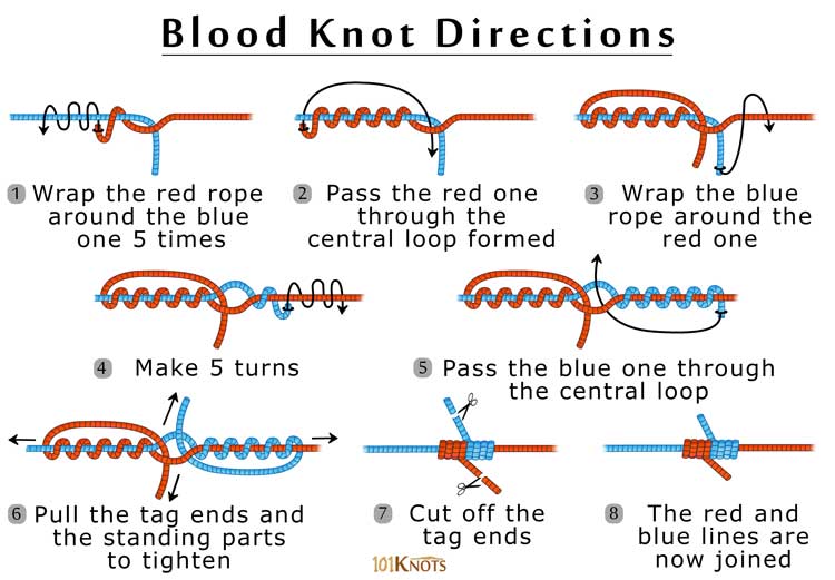 How-to-Tie-a-Blood-Knot