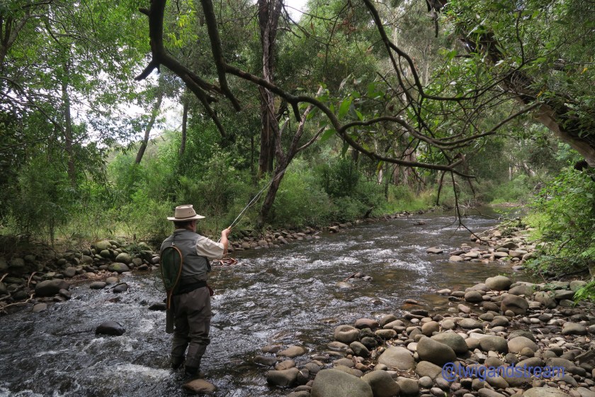 Fly fishing pocket water.