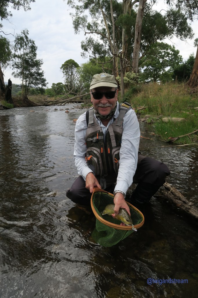 Man holding brown trout in river, over wooden net
