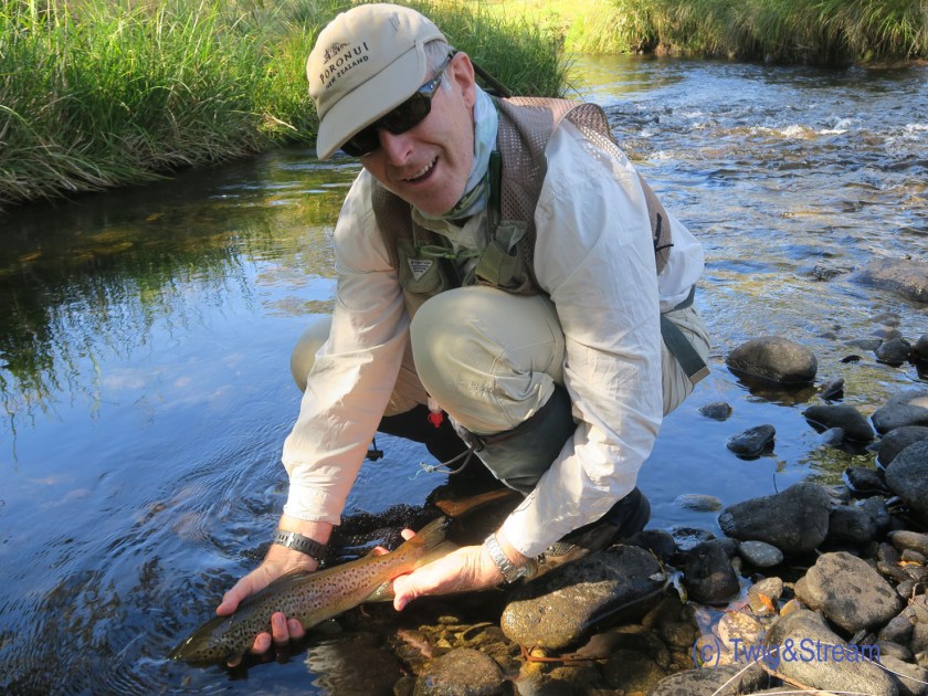 Releasing a brown trout - a real 2 pounder