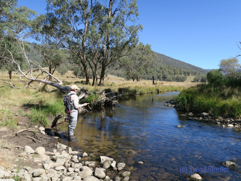 High country fly fishing Victoria.