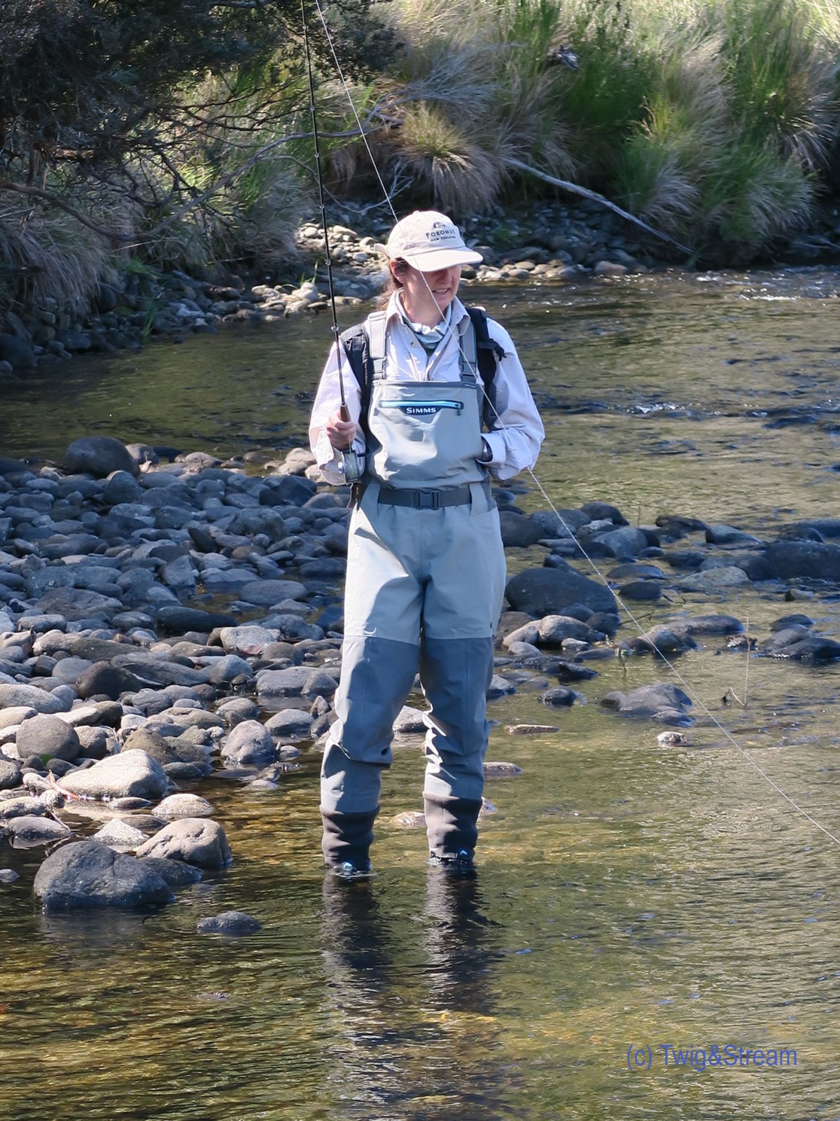 Woman fly fishing for trout.