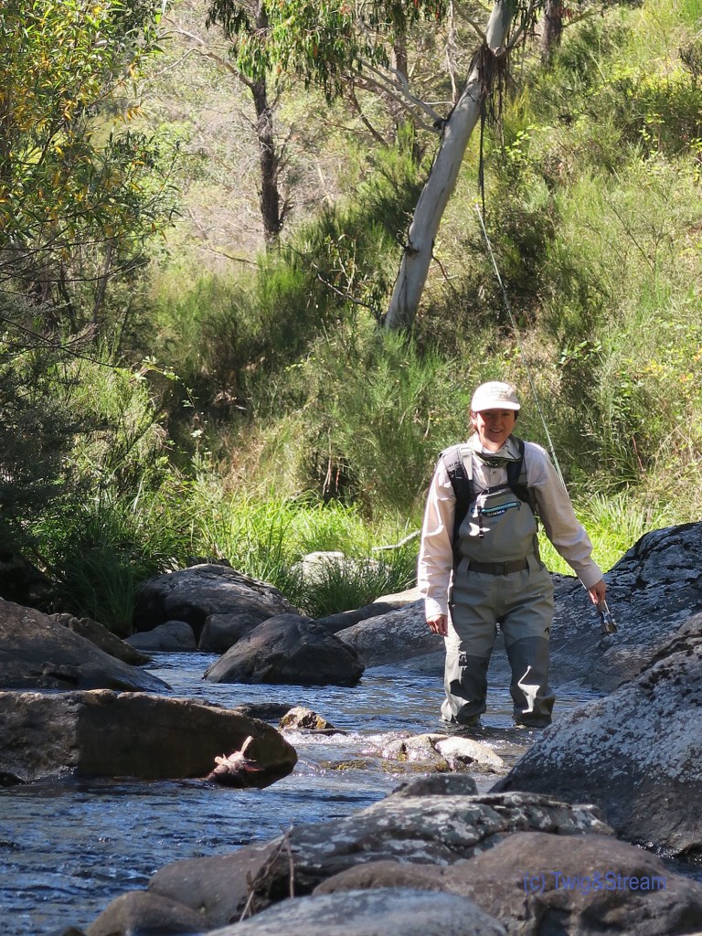 Woman fly fishing for trout.
