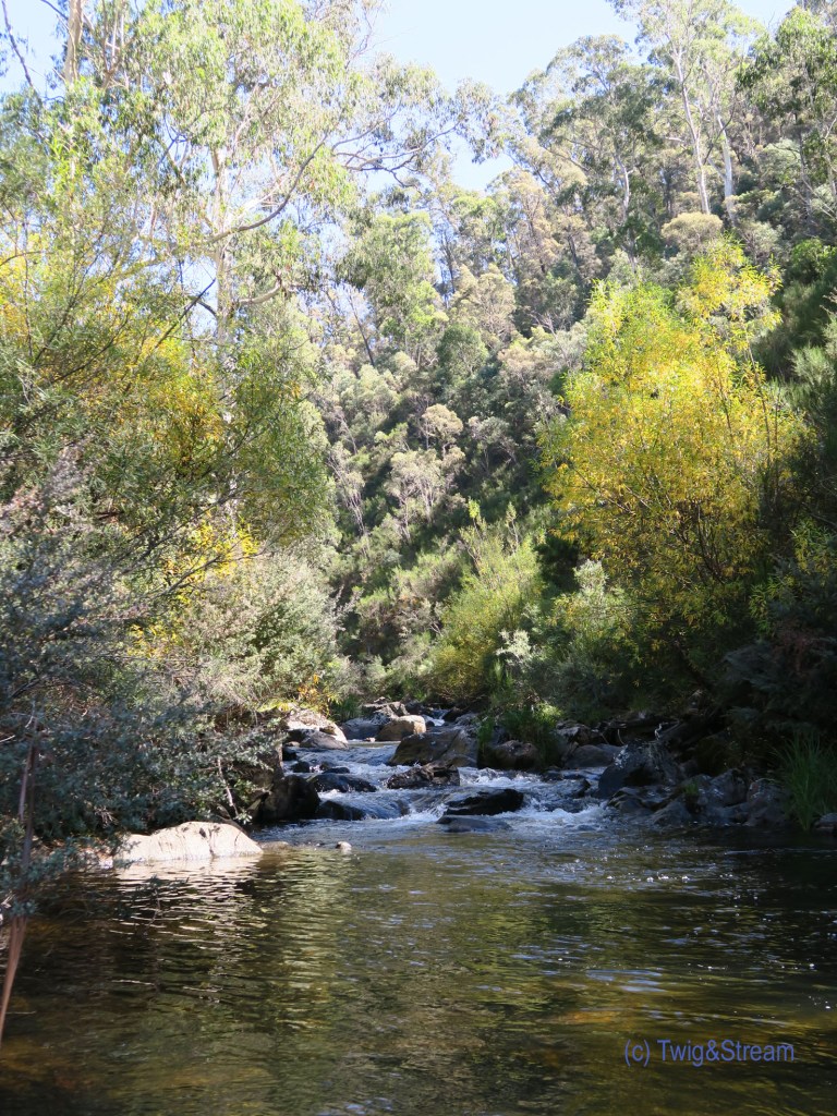 A High Country Trout Stream , Victoria Australia