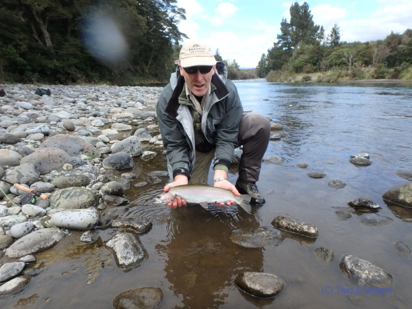 A long recovering rainbow trout caught fly fishing in the Tongariro