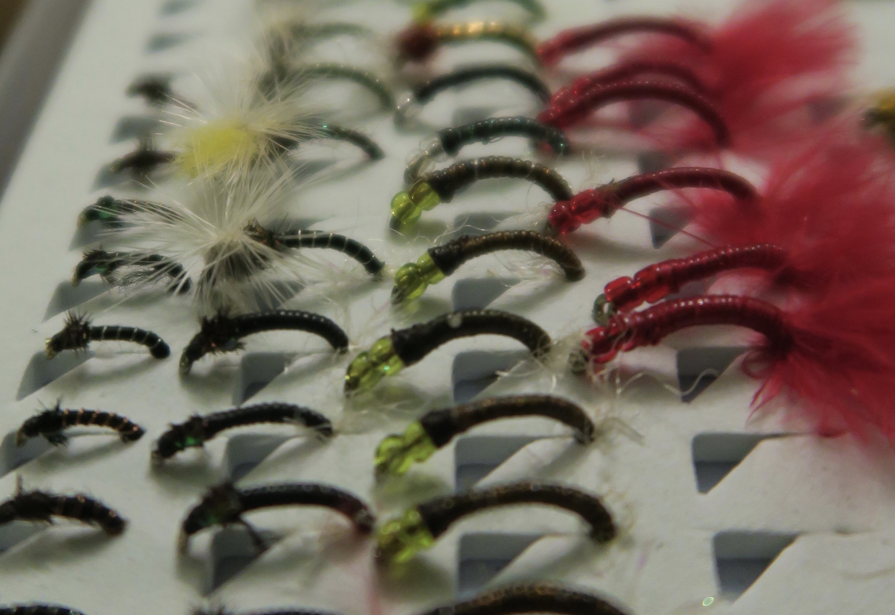 Close up of midge files in a fly box.