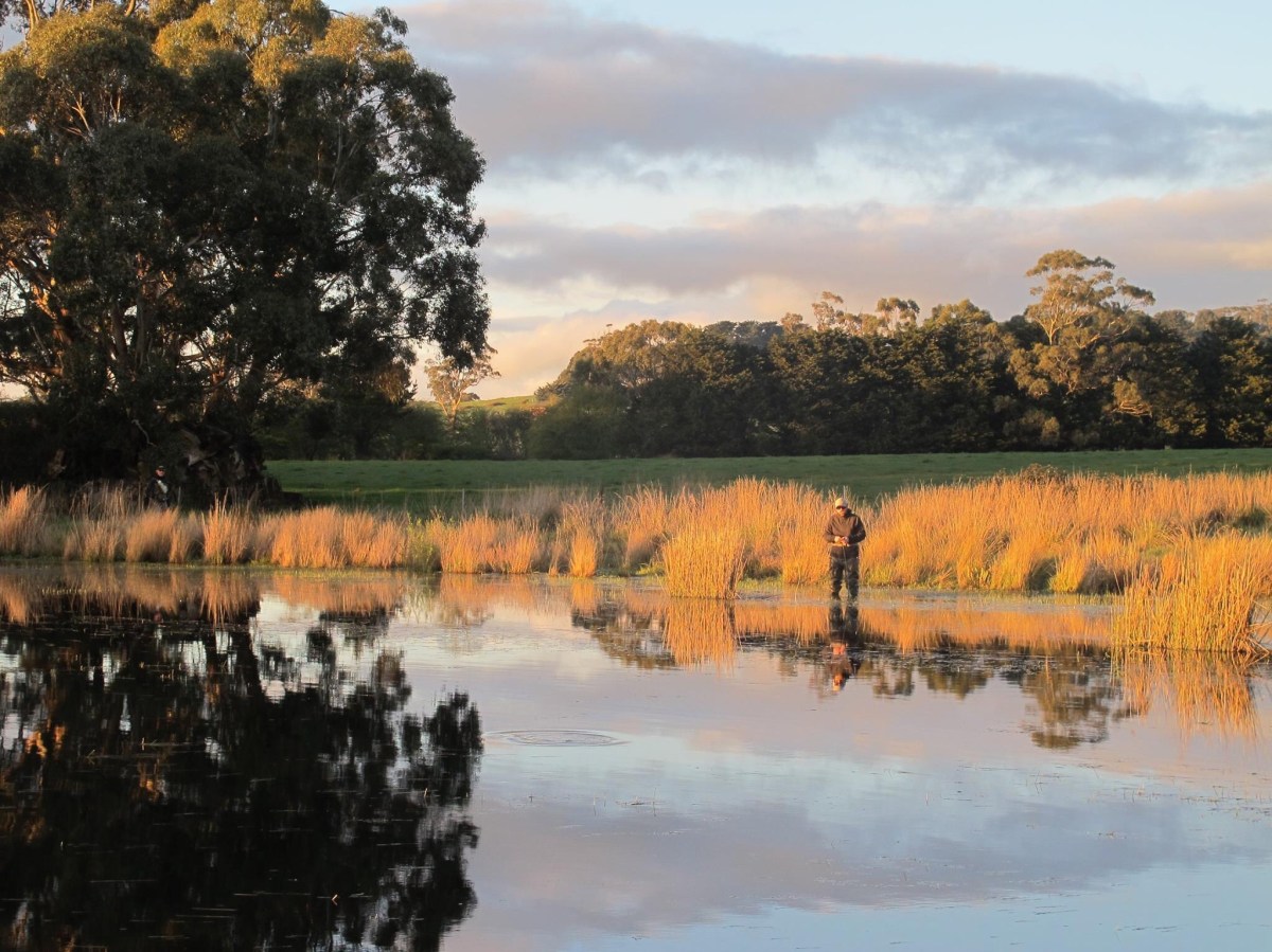 Image of Fly fisherman fishing for lake trout in Autumn